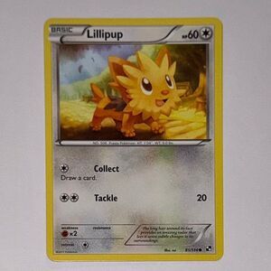 POKEMON CARD: Lillipup #81/114 (Pokemon Black & White)